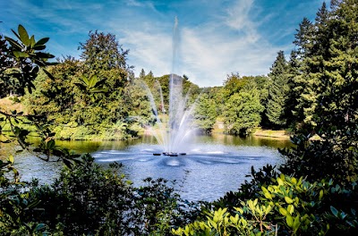 Foto de Park Berg en Bos