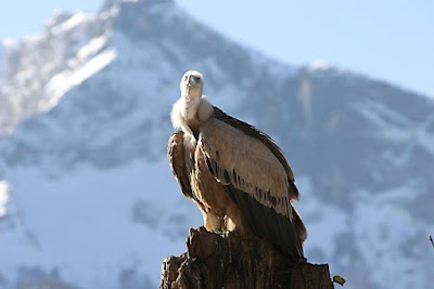 Foto de Salzburg Zoo Hellbrunn