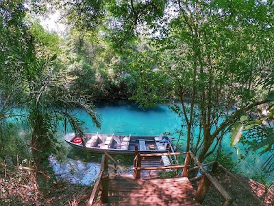 Foto de Recanto Ecológico Rio da Prata - Flutuação em Bonito MS