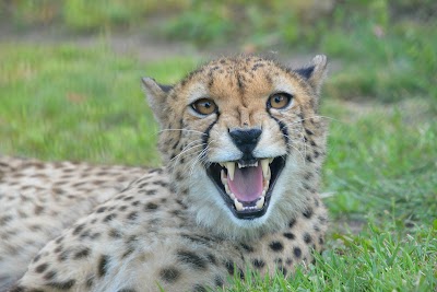 Foto de Ústí nad Labem Zoo