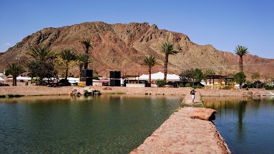 Foto de Timna Park