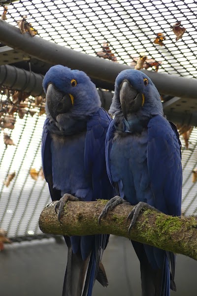 Foto de Der Grüne Zoo Wuppertal