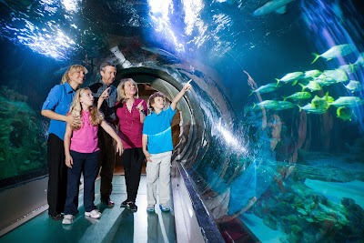 Foto de SEA LIFE Orlando Aquarium