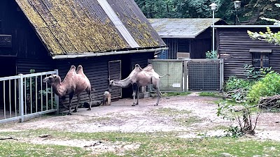 Foto de Halberstadt Zoo