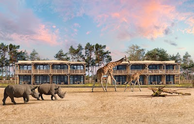 Foto de Safari Hotel Beekse Bergen