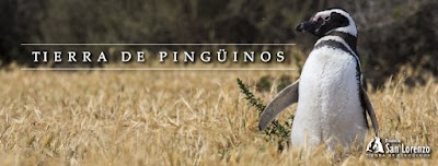 Foto de Reserva Natural Estancia San Lorenzo
