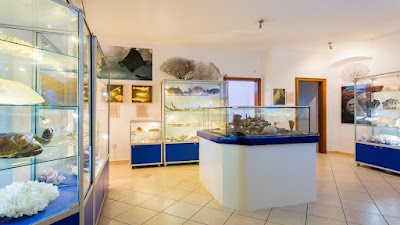 Foto de Tropical aquarium Krk