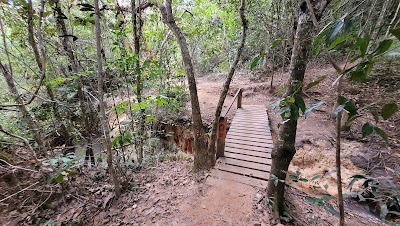 Foto de Parque Ecológico das Copaíbas