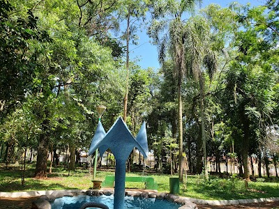Foto de Bosque Municipal Elias Lopuch - Bosque Parque Verde