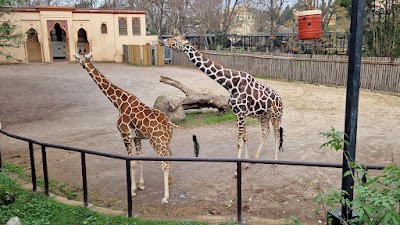 Foto de Bioparque de Roma