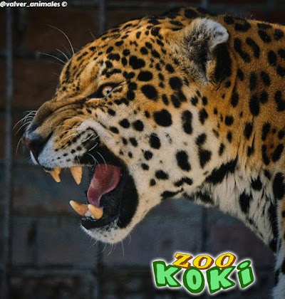 Foto de KOKI ZOO (Zoo and botanical)