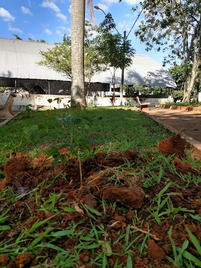 Foto de Praça Vila São José