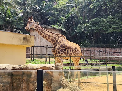 Foto de Zoológico de São Paulo