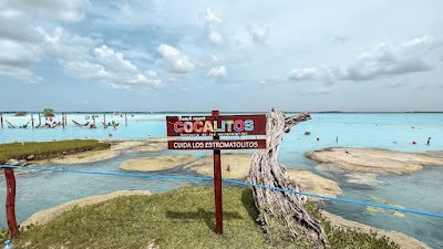 Foto de Cenote Cocalitos Beach Resort