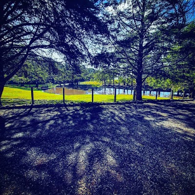 Foto de Refúgio de Vida Silvestre dos Campos de Palmas
