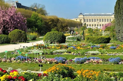 Foto de Jardim das Plantas de Paris