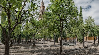 Foto de Patio de los Naranjos