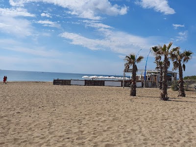 Foto de Plage de la Roquille