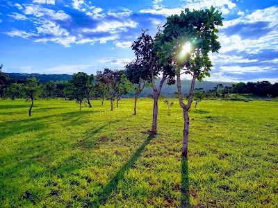 Foto de Parque Ecológico de Riacho Fundo