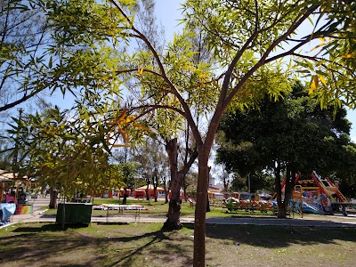 Foto de Praça da Faculdade