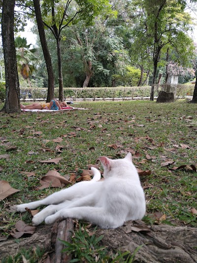 Foto de Parque do Horto