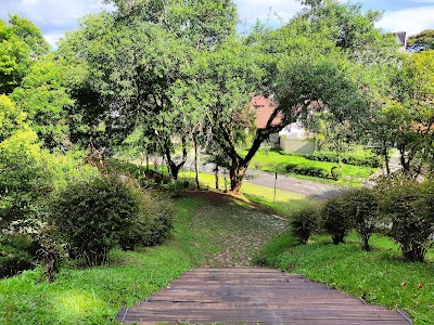 Foto de Bosque Gutierrez