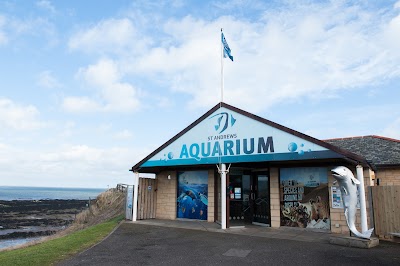 Foto de St Andrews Aquarium