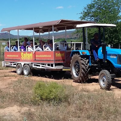 Foto de Safari Ostrich Farm