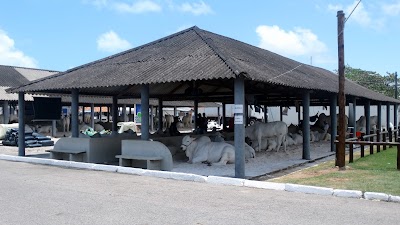 Foto de Parque De Exposição De Animais De Maceió - José da Silva Nogueira
