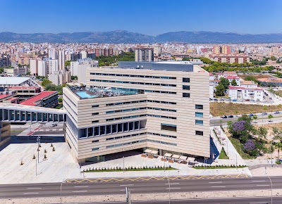 Foto de Meliá Palma Bay