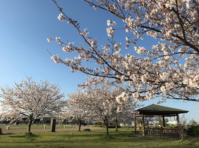 Foto de Parque Hiroshima Minato