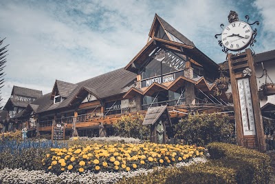 Foto de Palácio do Kikito - Museu do Festival de Cinema de Gramado