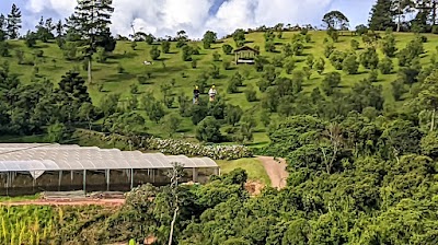 Foto de Prana Park
