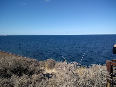 Foto de Punta Flecha - Observatorio de ballenas