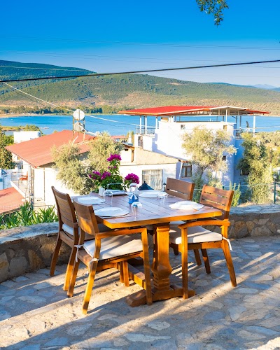 Foto de Nek House Zeytin