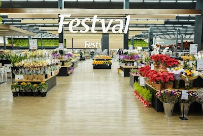 Foto de Festval Linha Verde