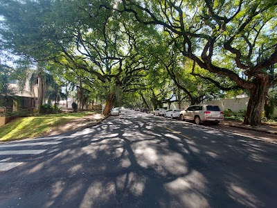 Foto de Avenida Pedro Basso