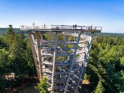 Foto de Treetop Walk Black Forest