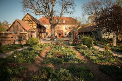 Foto de Deutsches Bienenmuseum