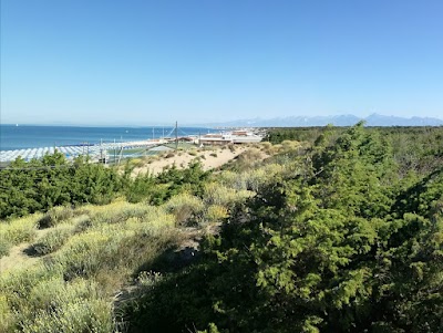 Foto de WWF Dune di Tirrenia