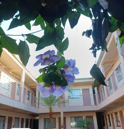 Foto de Hotel Danúbio