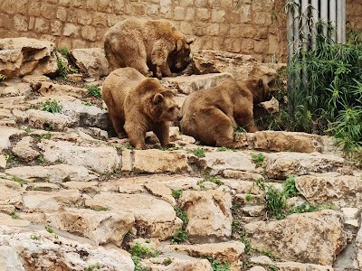 Foto de Haifa Zoo