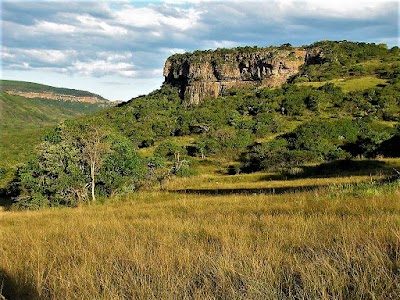 Foto de Cumberland Nature Reserve