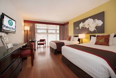 Foto de Hotel Palma Real