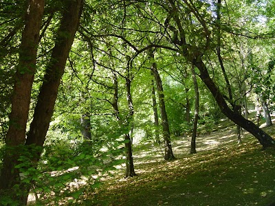 Foto de Orto Botanico dell Università di Siena