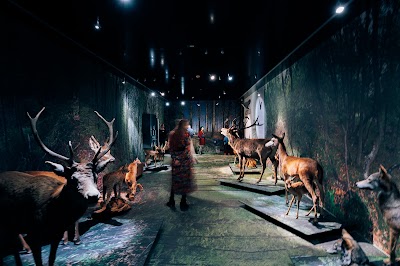 Foto de Valais Nature Museum