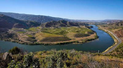 Foto de Quinta do Vale Meão
