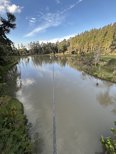 Foto de Royal Wake Park