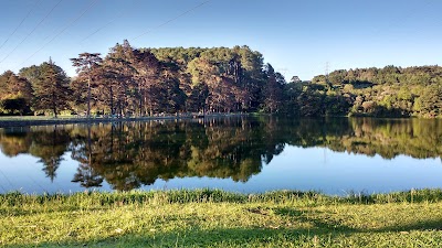 Foto de Jardim Botânico de Caxias do Sul(Armando Alexandre Biazus)