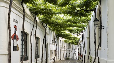 Foto de Bodega Tio Pepe